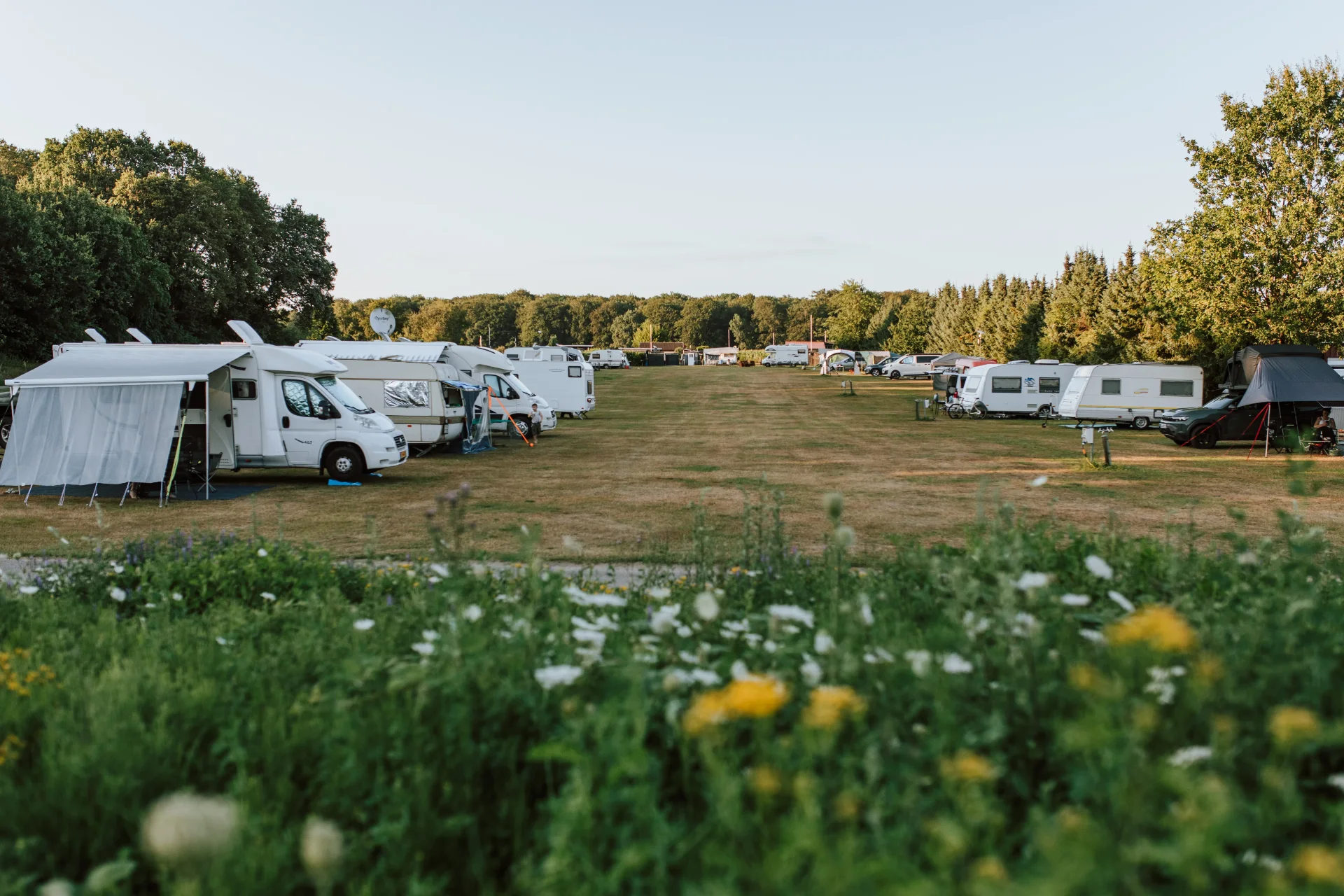 Campingwiese