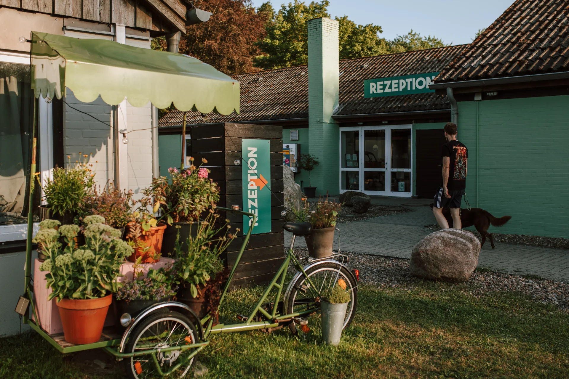 Rezeption